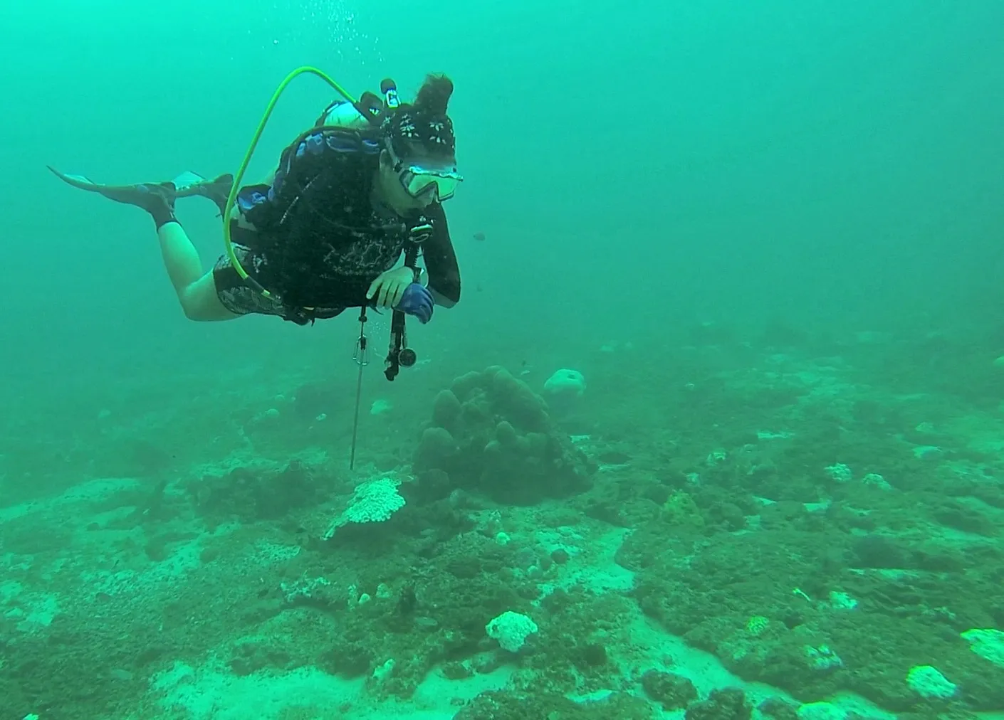 Scuba Diving at Payar Island